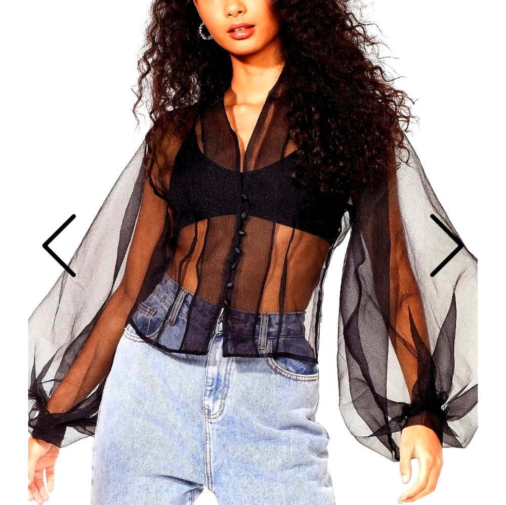 Balloon Organza Blouse with V Neckline